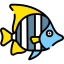 Fish photographs icon